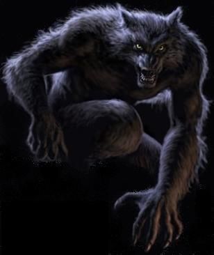 werewolfh_www_kepfeltoltes_hu_.jpg